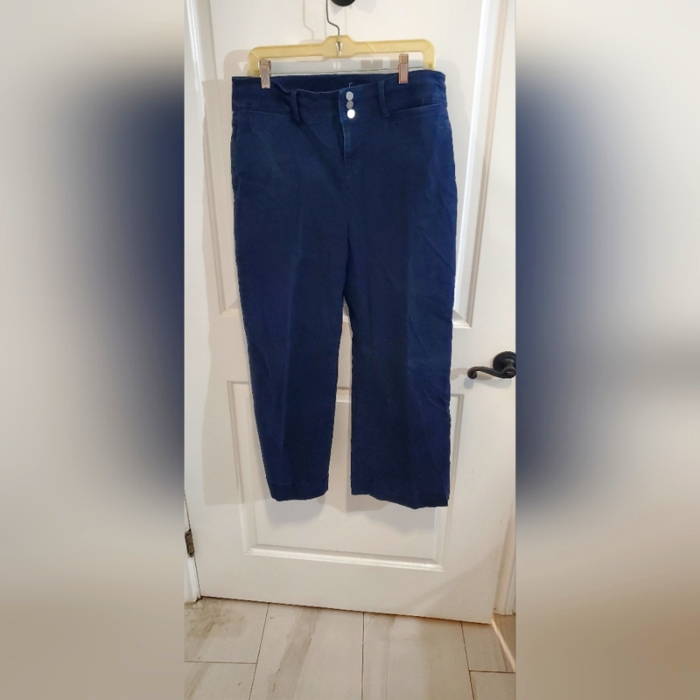 Loft Navy Blue Cropped Pants